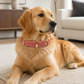 Butter Leather Collar - Coral