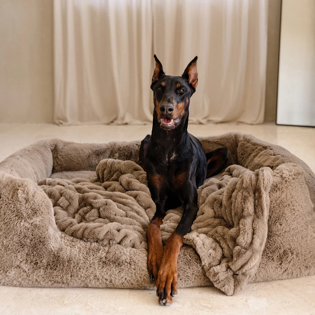 The Lola Pet Bed - Desert Dune, Small