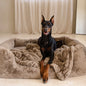 The Lola Pet Bed - Desert Dune, Small